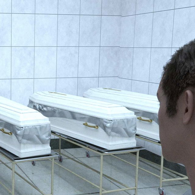 The Wake Story