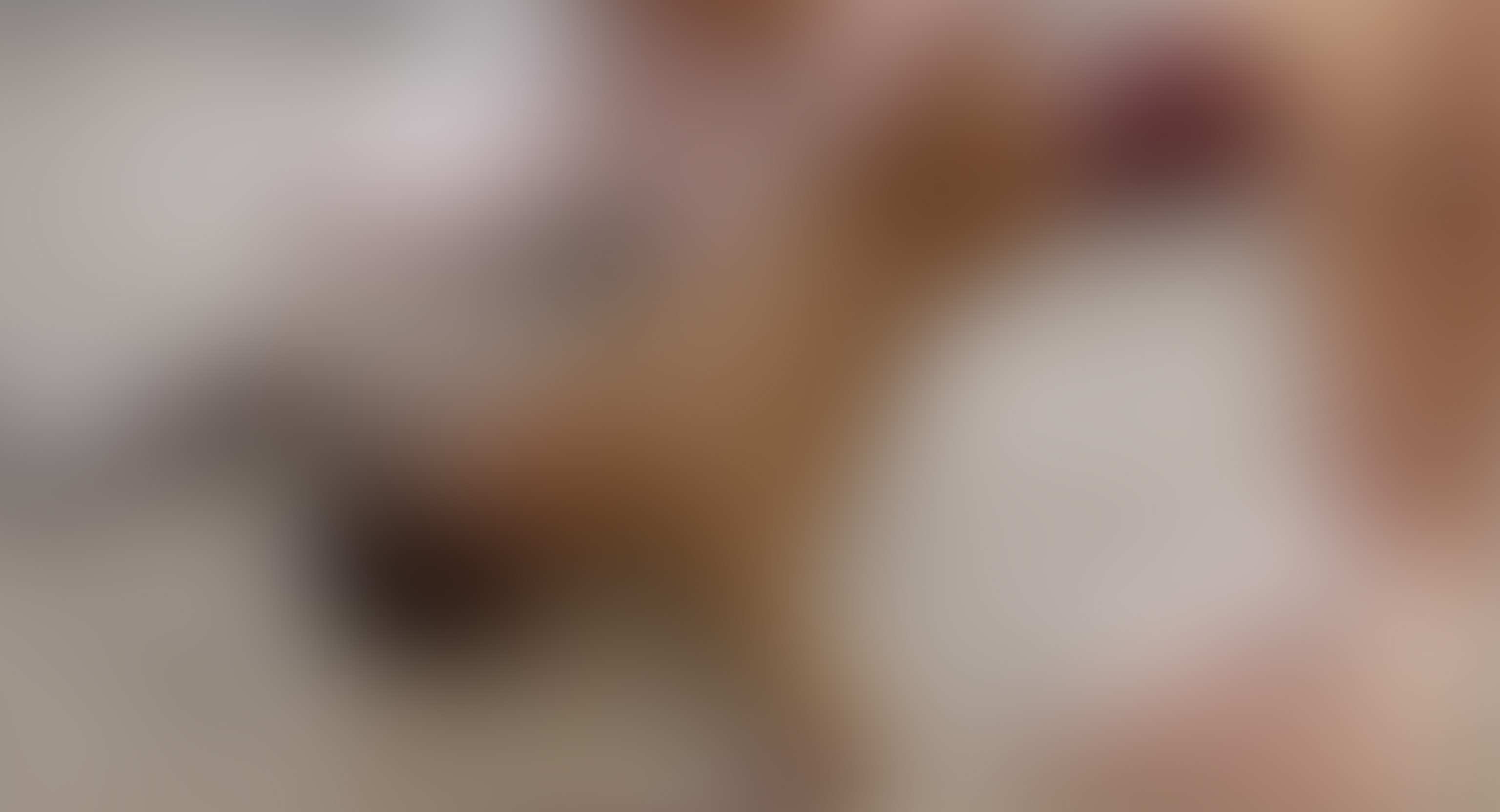 Part 2 - Update 07 - More Images