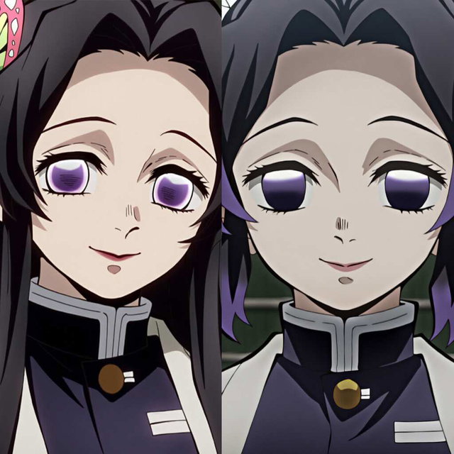 胡蝶しのぶ+胡蝶カナエ