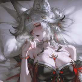 心月狐hsin 313p 