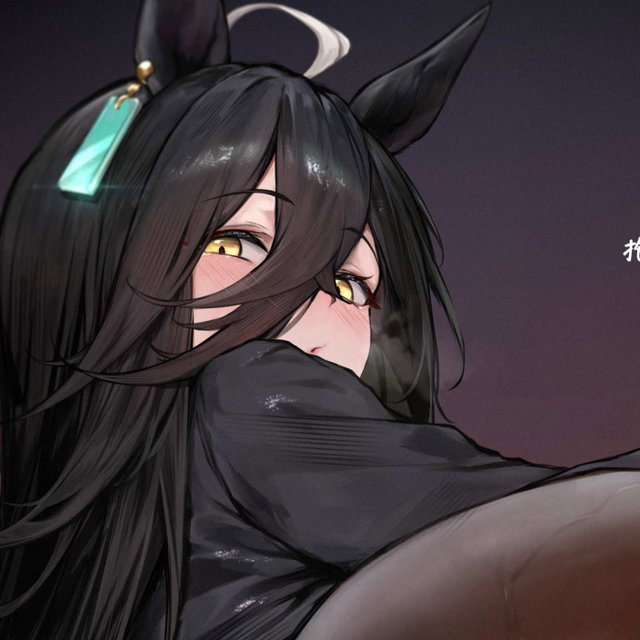 茶座 黑丝/破/玩具/松紧/猫猫/gc