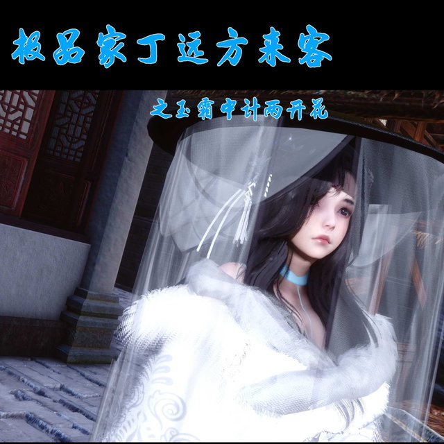极品家丁远方来客节选（42-44话）玉霜中计两开花  已发货