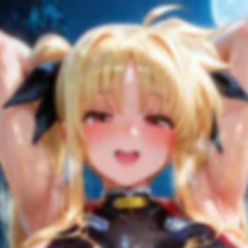フェイト・テスタロッサ  209枚