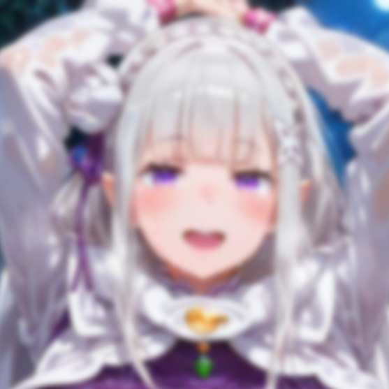 エミリア 215枚