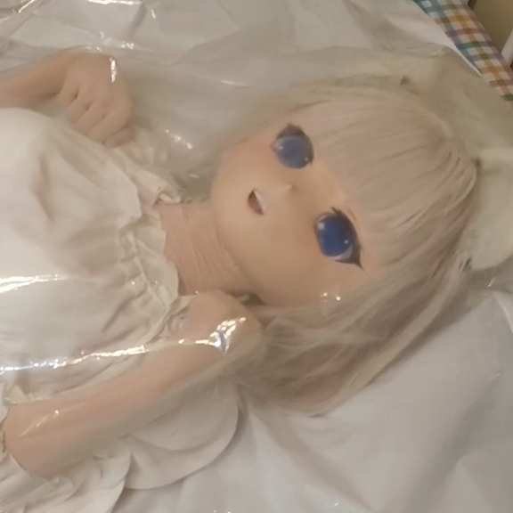 被真空袋子封起来了NO.1