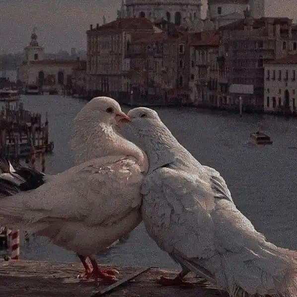 灵魂提取