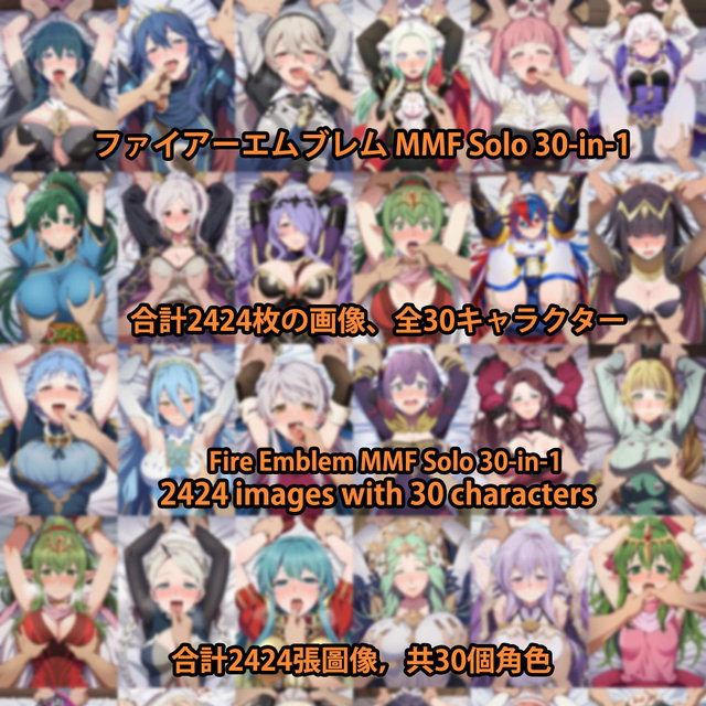 ファイアーエムブレム Fire Emblem MMF Solo 30-in-1  画像2424枚 海外版
