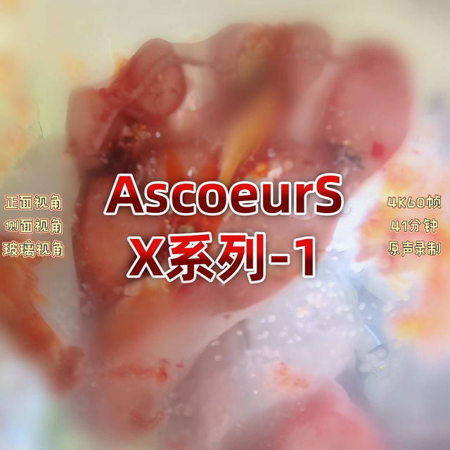 X-1-4K60 棕色低跟lo鞋&薄肉丝Vs小金鱼