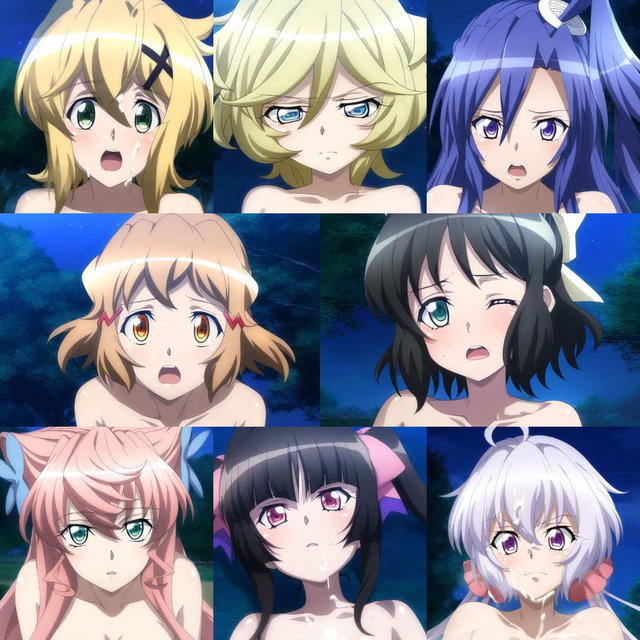 シンフォギア夜の公園詰め合わせ (365P)