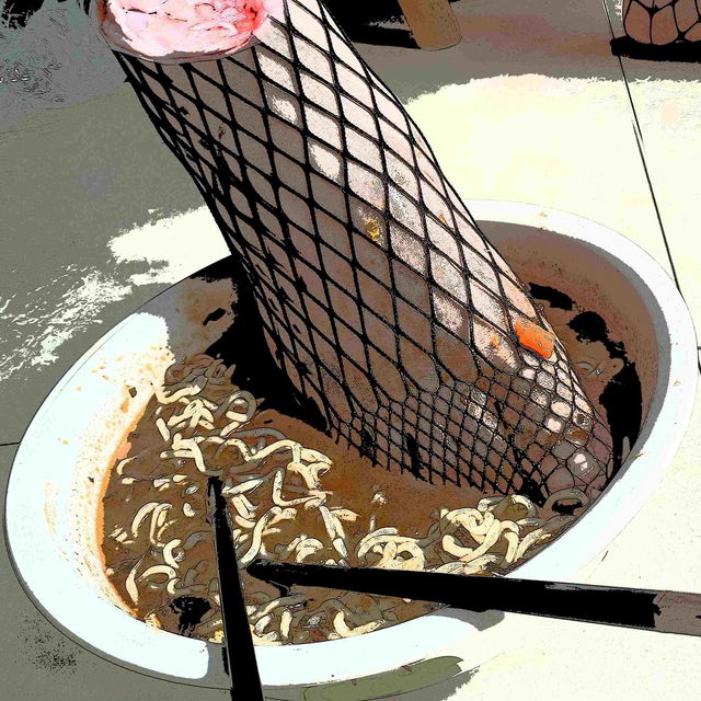 Sour cabbage noodles