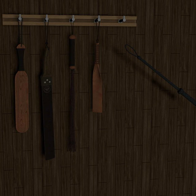 鞭子玩具(WhipTools)-VAM