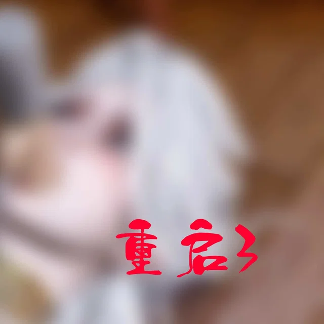 盛宴-重启3