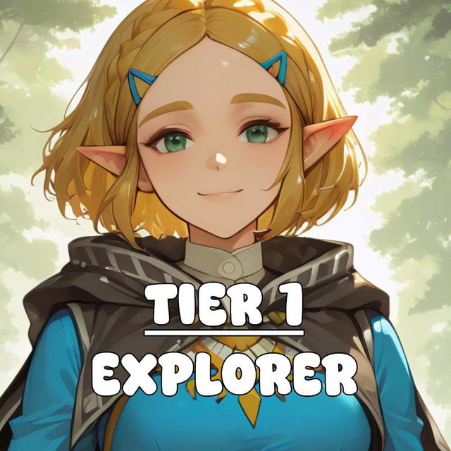 🧭 TIER 1 - Explorer