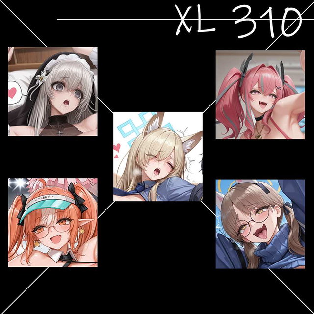 Supplementary XL309~313: Contains:4641 images/補正XL309~3013：4641枚の画像を含む