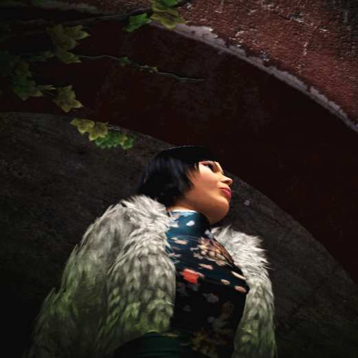 OLD  日谍美人蝶
