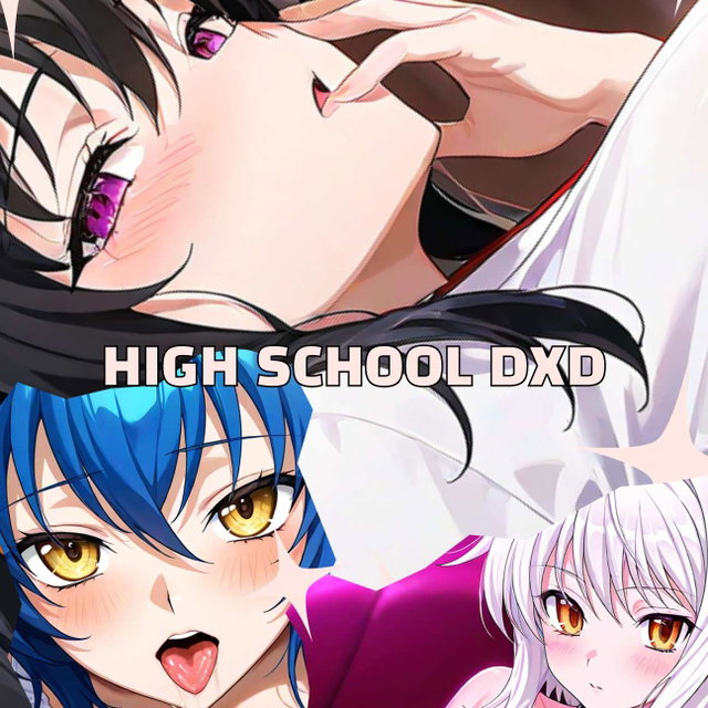ハイスクールD×D (282P)