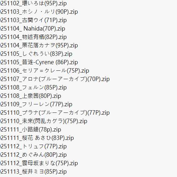 202511包月整合包