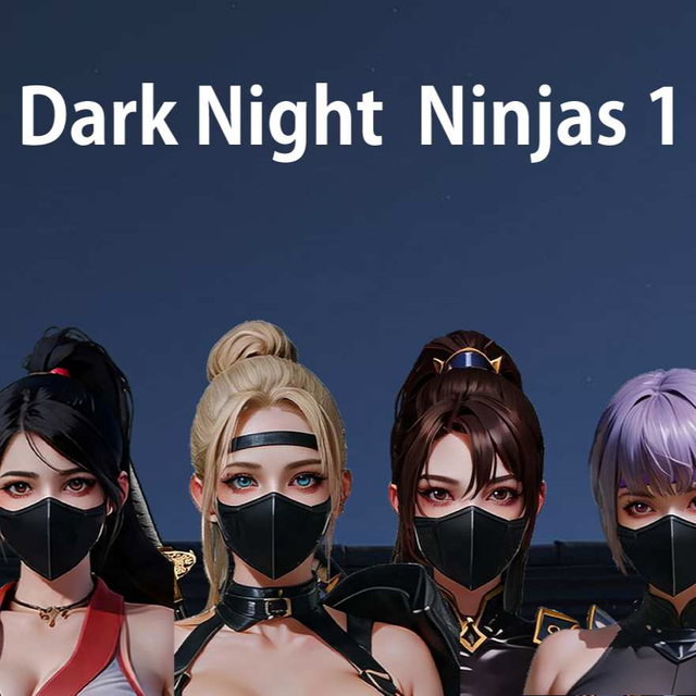 Dark Night Ninjas1