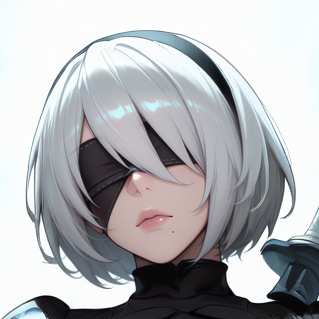 尼尔机械纪元2B 115页图集 2B from Nier Automata 115 images bundle