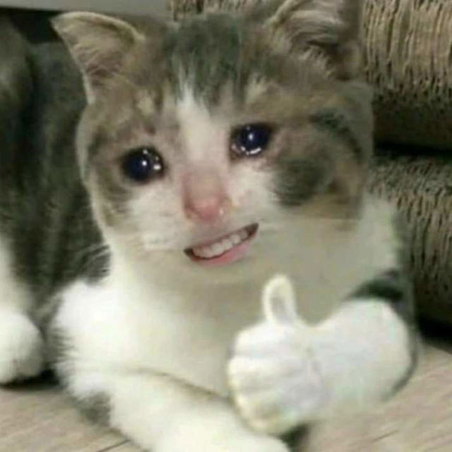 我懒得发帖 , 5 个你想要的视频