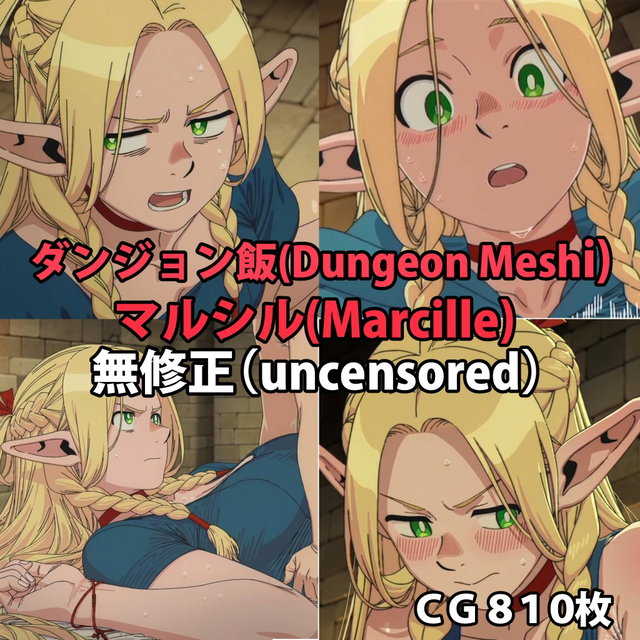 [810枚]ダンジョン飯(Dungeon Meshi)マルシル・ドナトー(Marcille Donato)CG