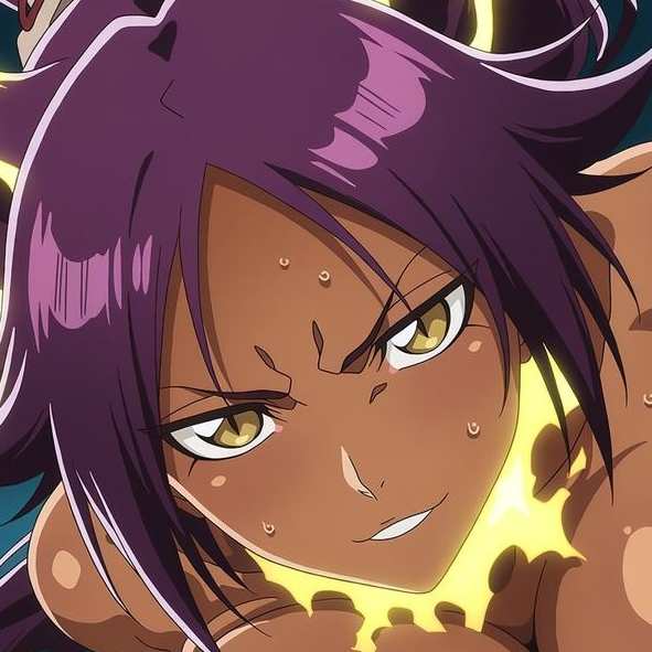 shihouin yoruichi 149P