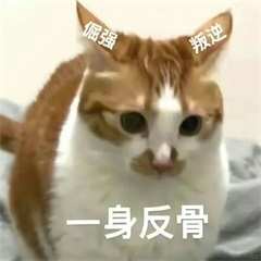 丧尸乐园，极致欢愉（孕妇版）