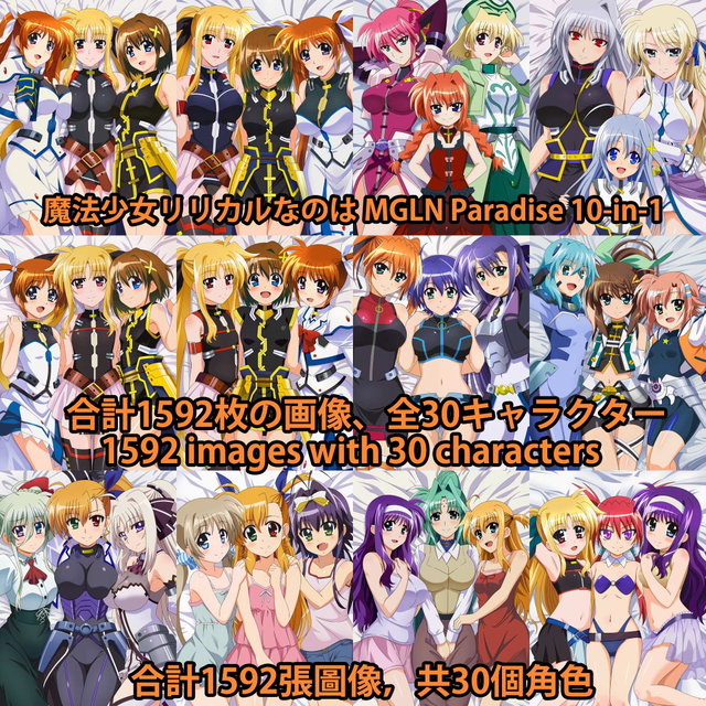 魔法少女リリカルなのは MGLN Paradise 10-in-1 高画質 画像1592枚 海外版
