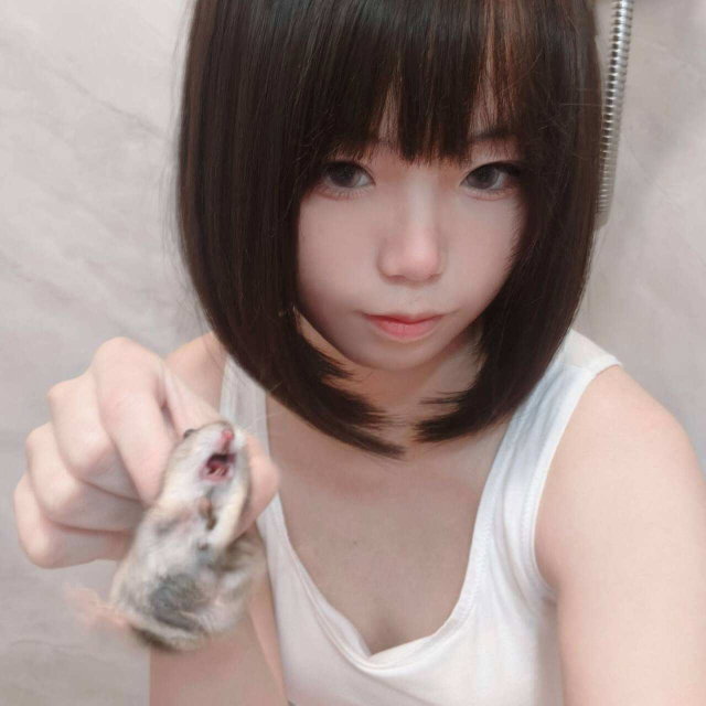 小猫得志运动鞋x仓鼠(R)