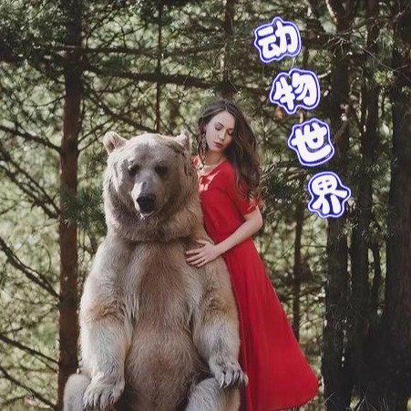 动物世界
