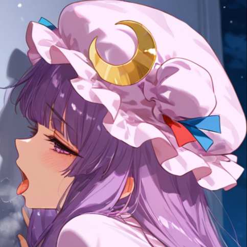 帕秋莉·諾蕾姬 Patchouli (343pics+9gif/mp4)
