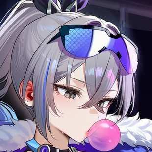 HSR - silver wolf