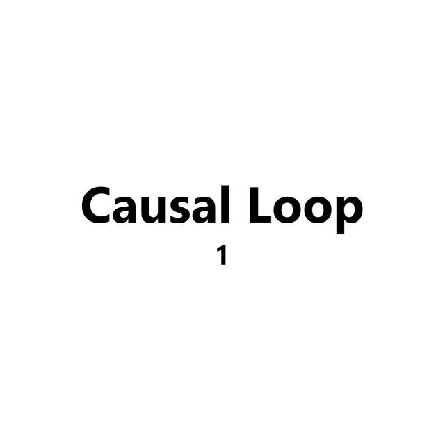 Causal Loop 1