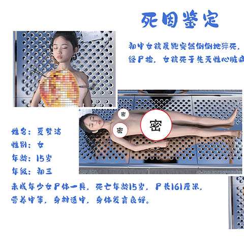 https://static.picstashpic.com/product/cover/c3c3e09a-22db-4a9a-9086-6da251702506.jpg