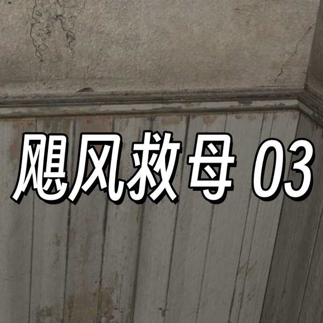 飓风救母 03