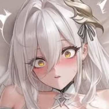 Supplementary ANIME video XL-2