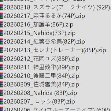 202511包月整合包