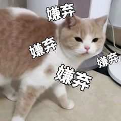 丧尸乐园，极致欢愉（孕妇版part2）