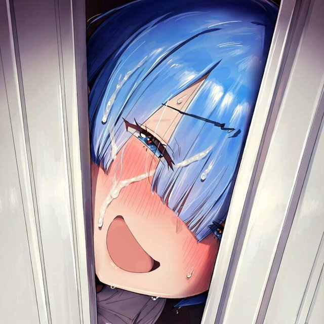 Re:Zero Sleeping Rem