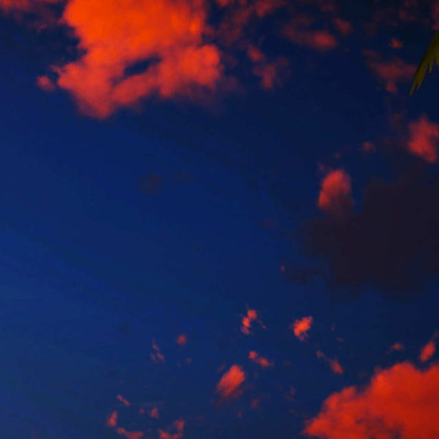 Savior Angels 8.3（MEGA）