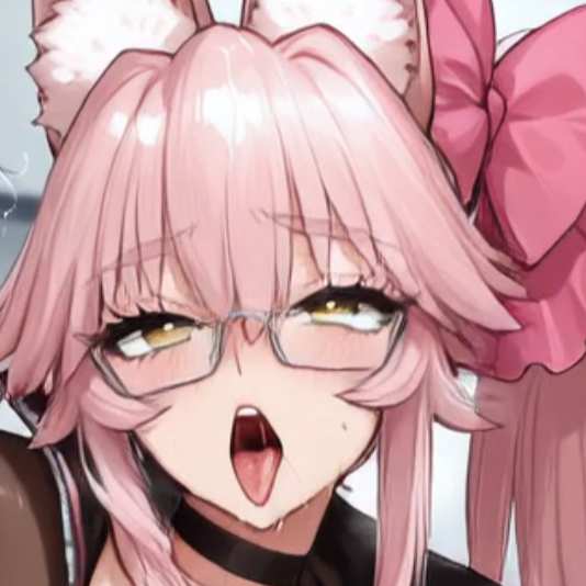 Supplementary ANIME video XL-3