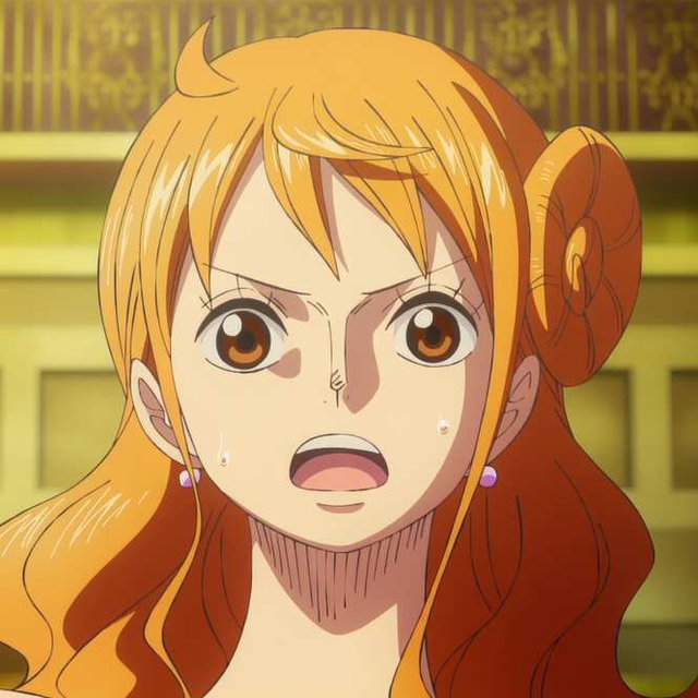 nami 24p