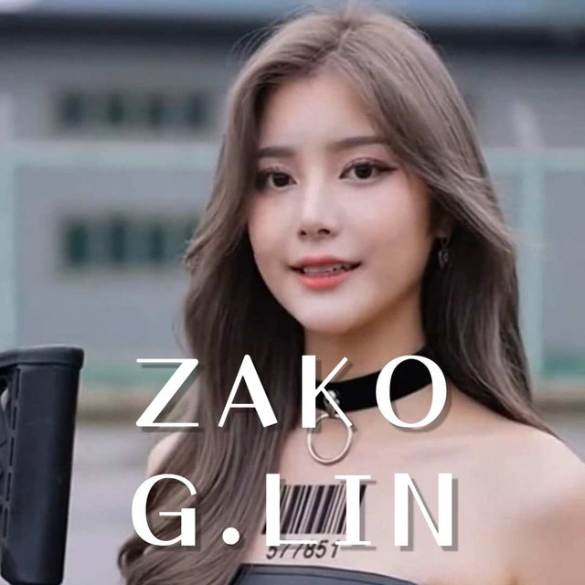 ZAKO-G.LIN