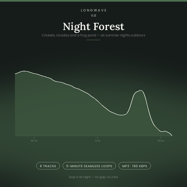 Night Forest · 6 Seamless 5-Minute Loops · Sleep, Focus & Noise Masking