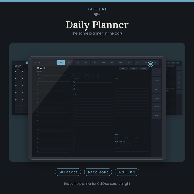 Daily Planner · Hyperlinked Digital Planner · 507 pages · GoodNotes & any PDF app · 4:3 + 16:9