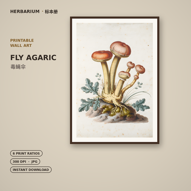 Fly Agaric — Printable Vintage Botanical Wall Art | 6 Print Ratios, 300 DPI