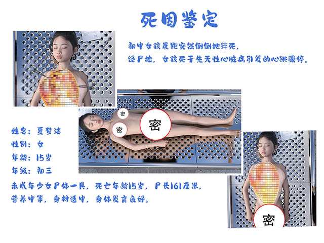 https://static.picstashpic.com/product/slide/7e43c014-a668-4119-bc0f-3dbd262708d2.jpg