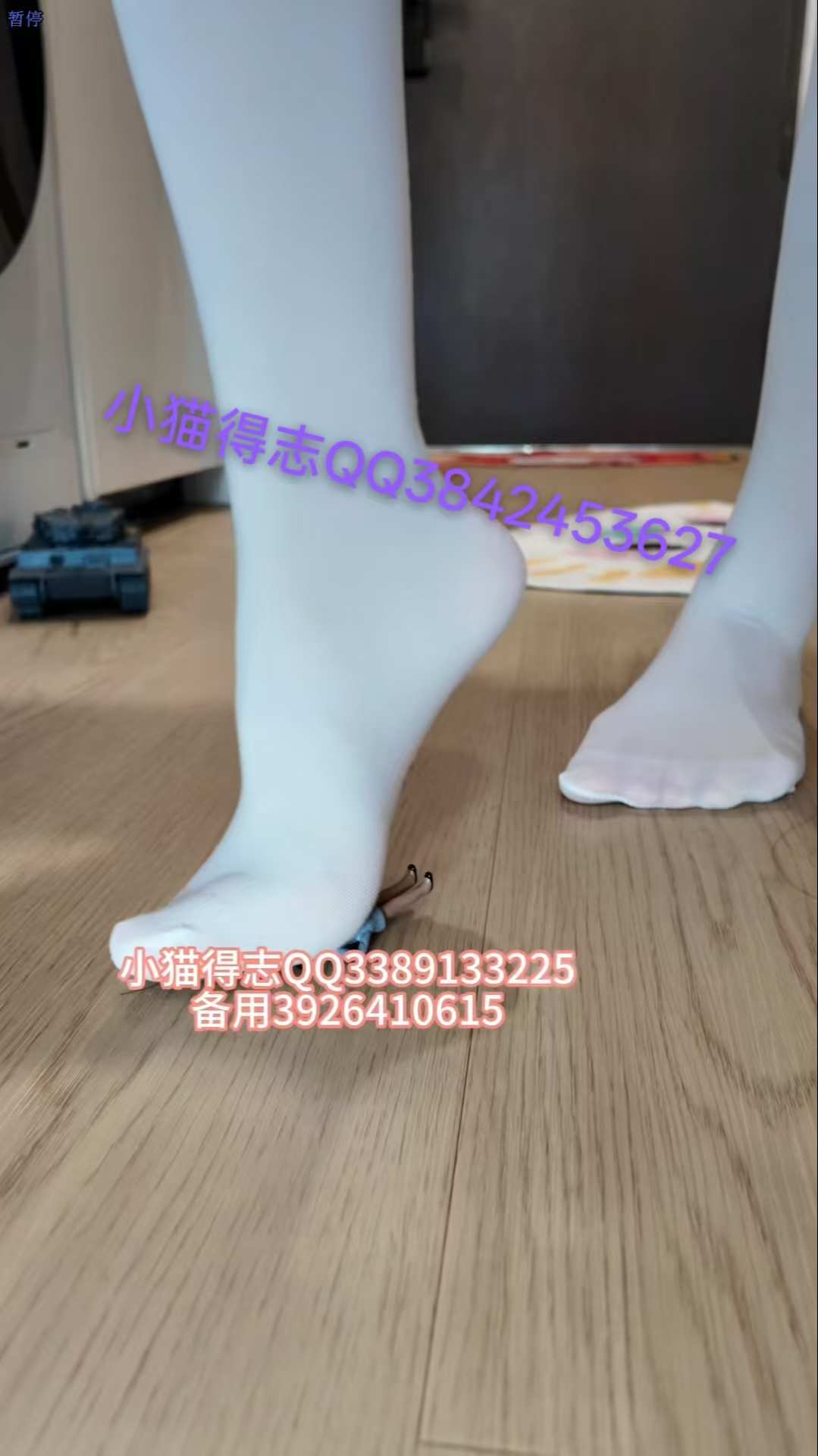 https://static.picstashpic.com/product/slide/d246d9c1-3b55-4b70-aaf0-6eabae542c46.jpg
